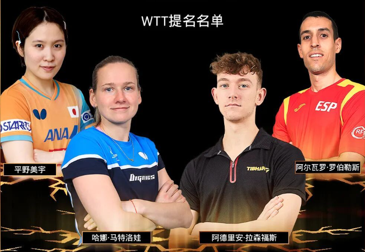 捷克球员哈, 女单比赛, 陈垣宇