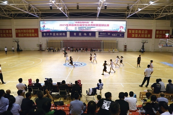 年度山东省 年度山东省